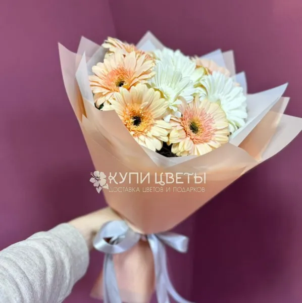 Букет из персиковых и белых гербер Букет дневного света