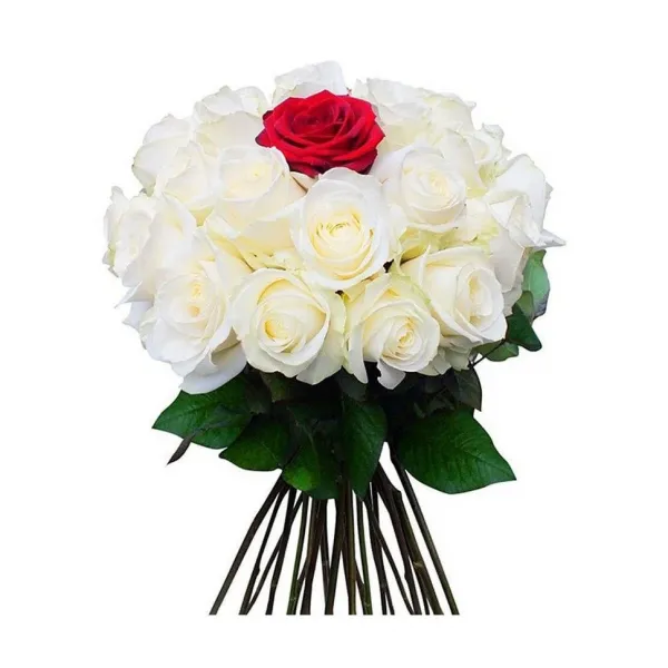 Букет из белых и красной розы В центре внимания