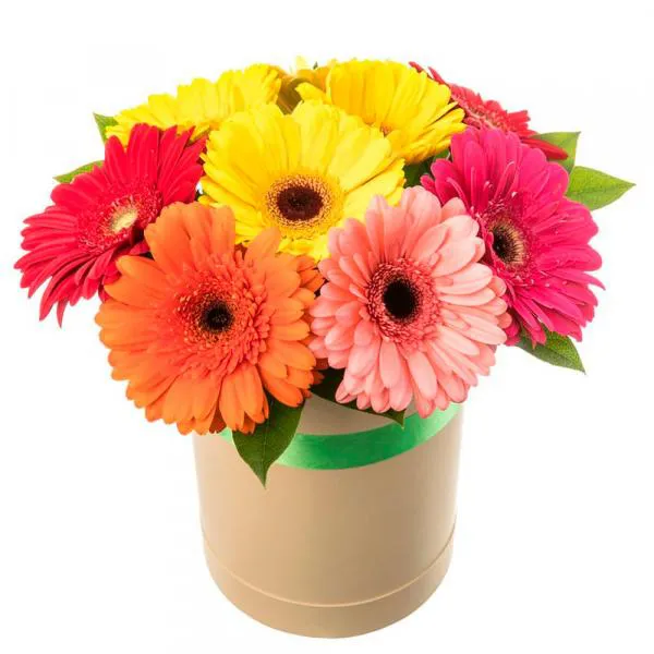 Букет из разноцветных гербер в коробке Мир в ярком свете