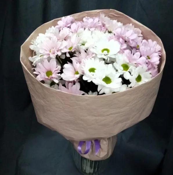 Букет из белых и розовых хризантем Лепестки рассвета