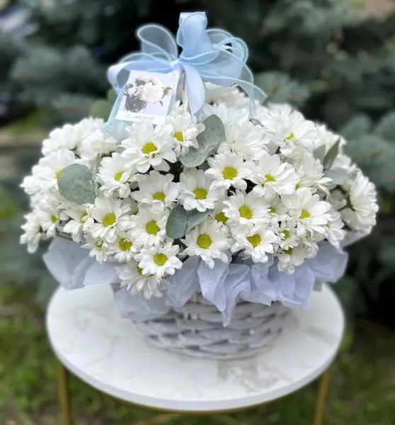 Корзина белых хризантем Долина лунного света