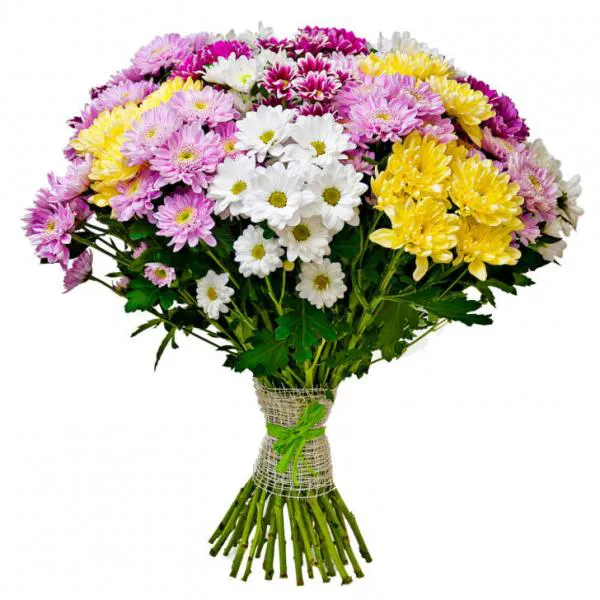 Букет из разноцветных хризантем Ромашковый микс