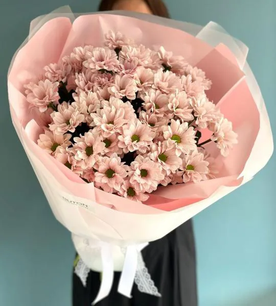 Букет из розовых кустовых хризантем Нежные мечты