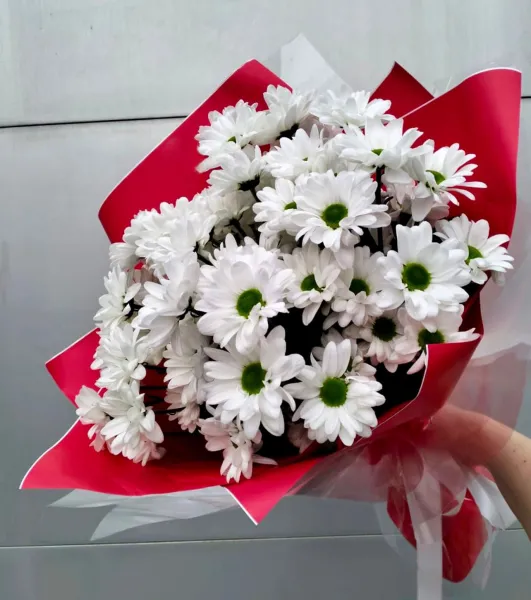 Букет из белых кустовых хризантем Деликатная ромашка