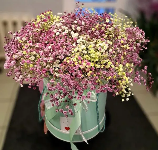 Букет из гипсофилы в шляпной коробке Элегантные моменты