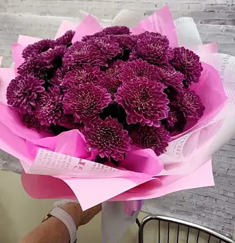 Букет из бордовых кустовых хризантем Гранат