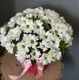Букет из белых хризантем в коробке Летопись любви