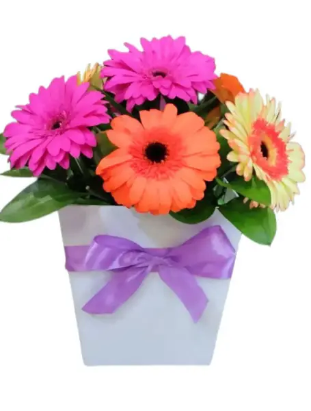 Букет из разноцветных гербер Доброе утро в коробке