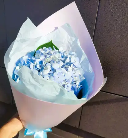 Букет голубой гортензии Снежный комок