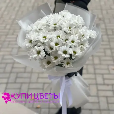 Букет из белых кустовых хризантем Лунный Поцелуй