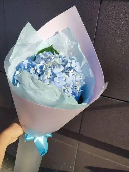 Букет голубой гортензии Снежный комок