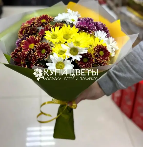 Букет из желтых, белых и бордовых хризантем Яркие мысли