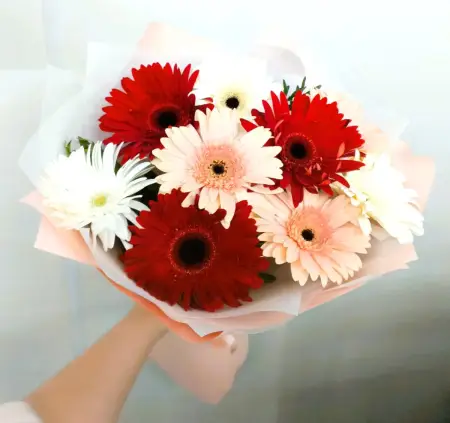 Букет из красных и розовых гербер Цветной бульвар