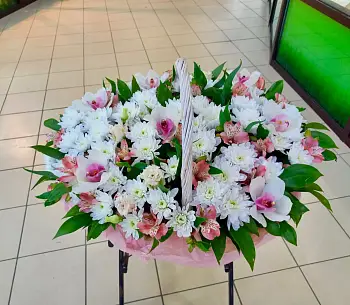 Корзина из белых хризантем и орхидей Неотразимая