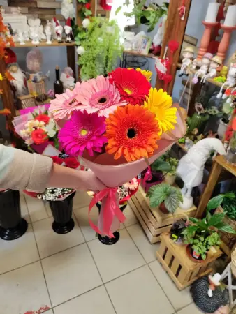 Букет из разноцветных гербер Лучистый