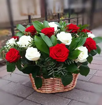 Корзина из красных и белых роз Страстный секрет