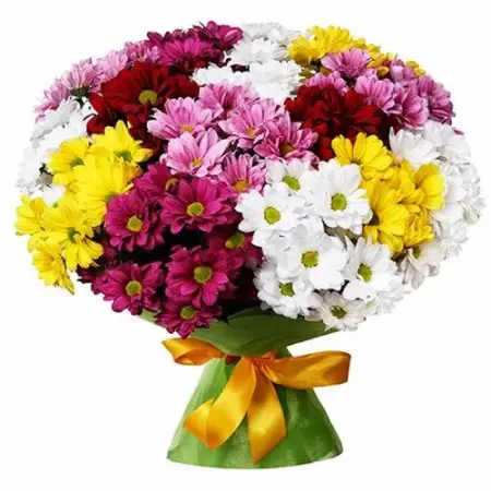Букет из разноцветных хризантем Знак внимания