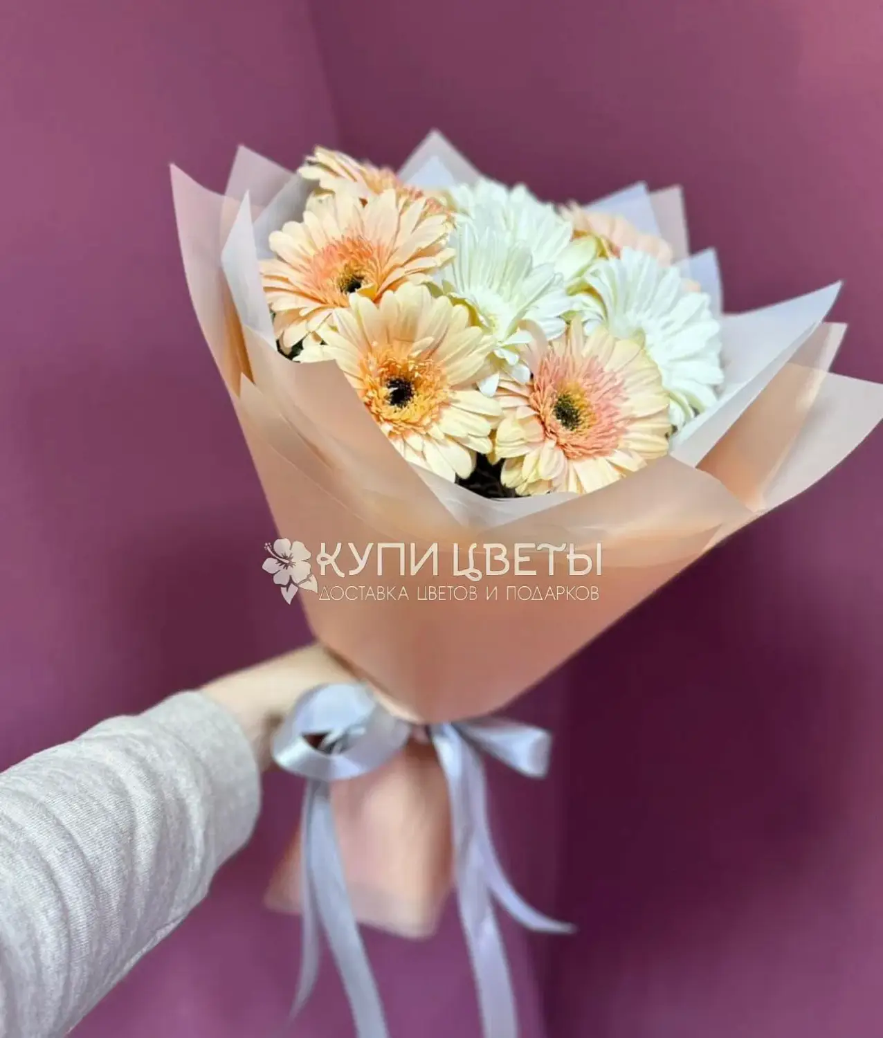 Букет из персиковых и белых гербер Букет дневного света