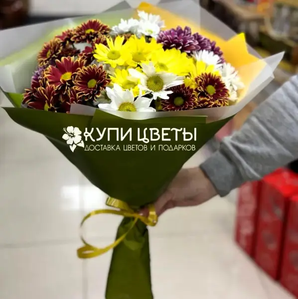 Букет из желтых, белых и бордовых хризантем Яркие мысли