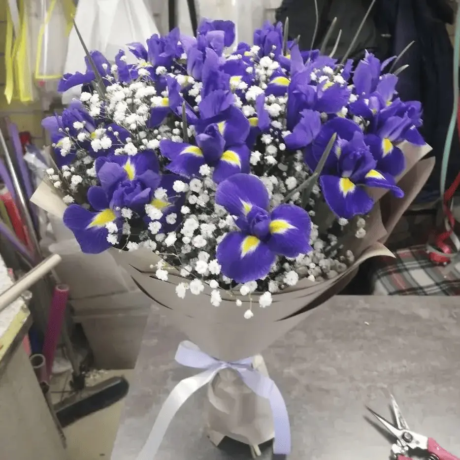 Весенний бриз