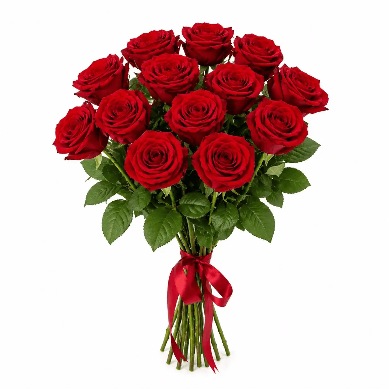 Букет из 13 красных роз под ленту