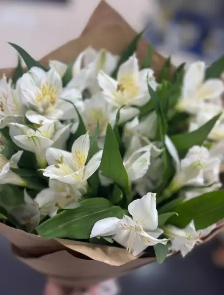 Тихая гармония