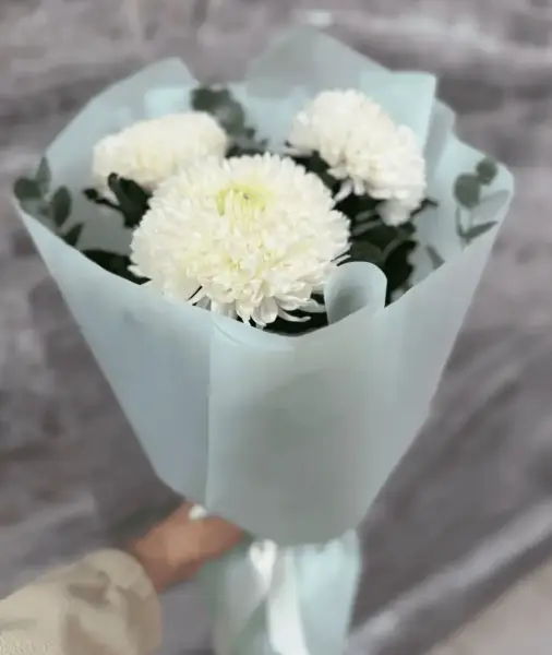 Сделай комплимент