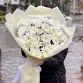 Белые кустовые хризантемы