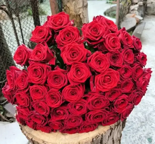 Букет из 51 красной розы